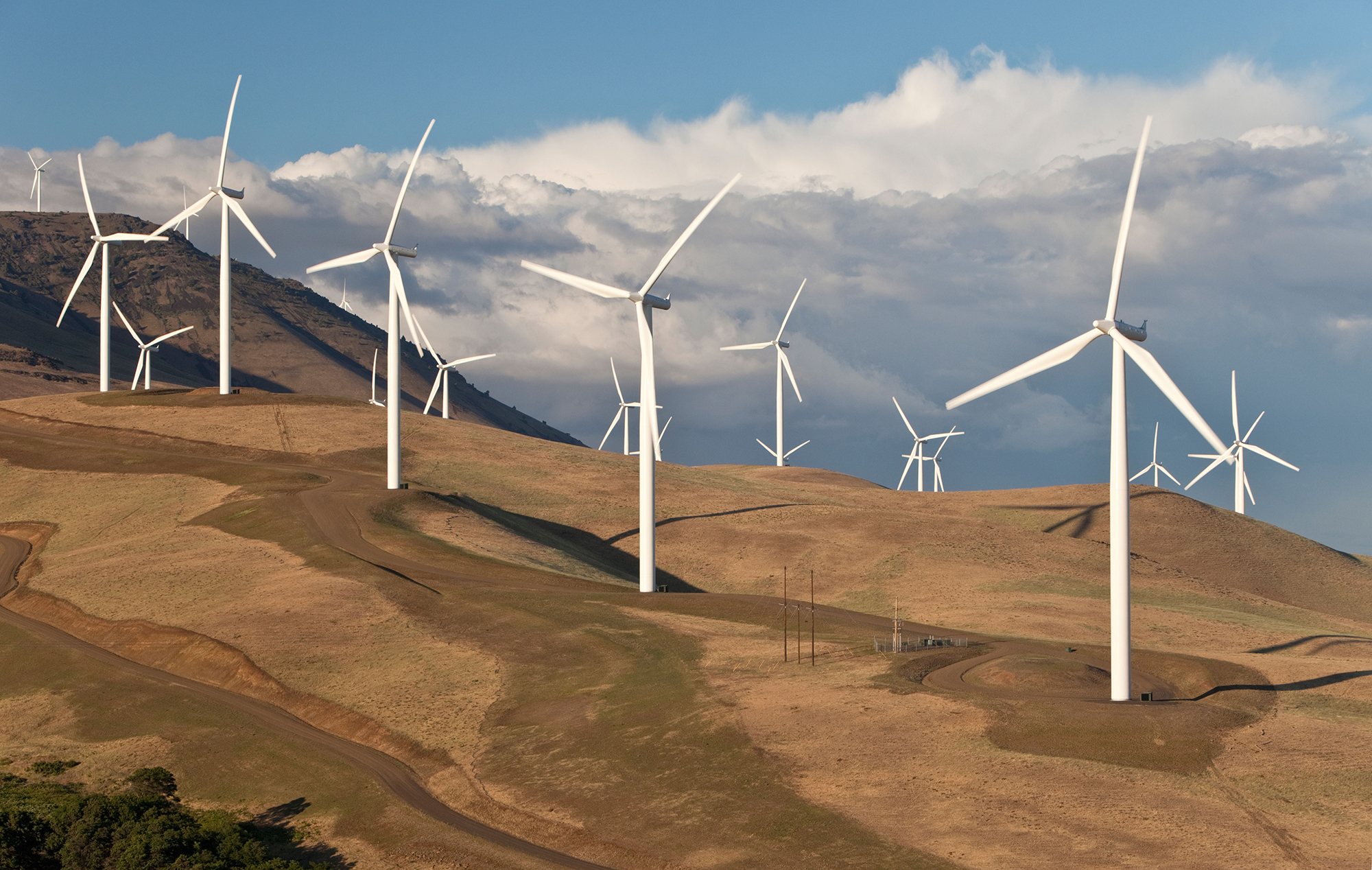 Gone with the wind: Energy output dented by wind drought