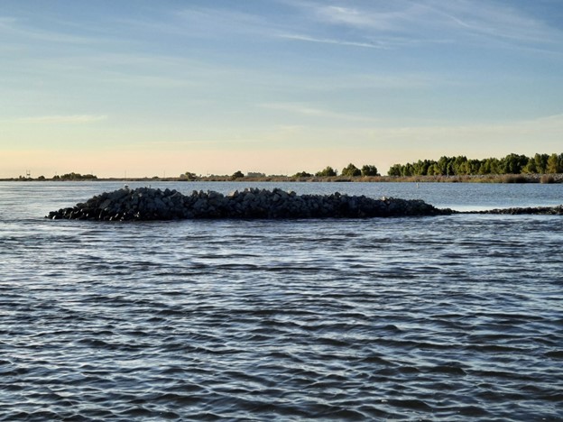 Environmental groups claim California’s State Water Project will harm endangered fish and the environment