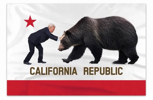 California Governor Newsom has positioned the state to be a national security risk for the entire USA.